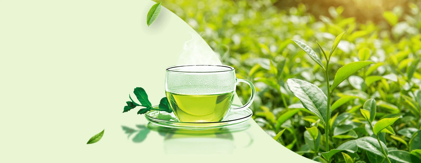 tea-banner