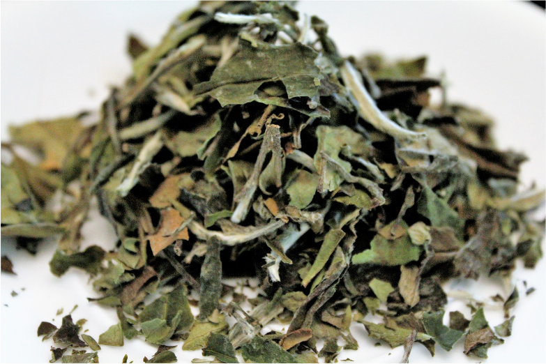 Silver Needle Tea